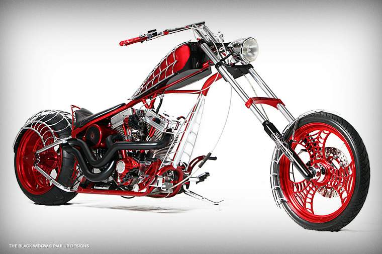 Occ store spider bike